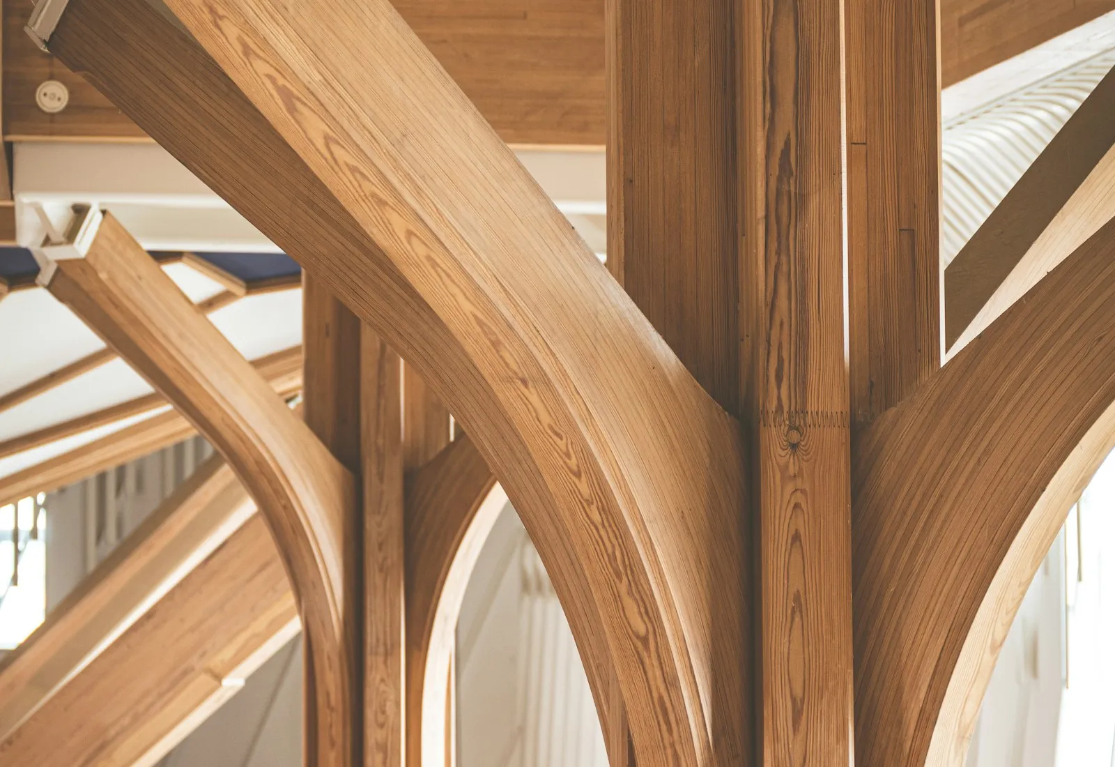 FSC, PEFC and EUDR-Aware Timber Supply visual